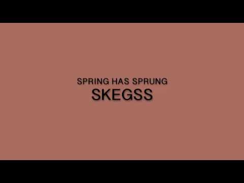 SKEGSS - spring has sprung LYRICS