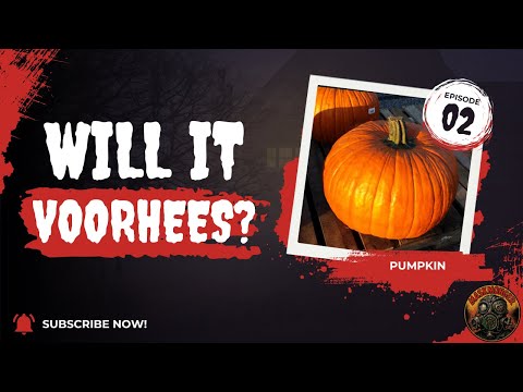 Making Jason S Pumpkin