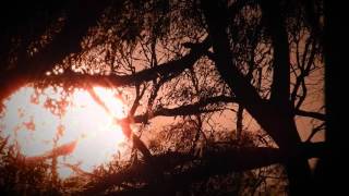 Only Love Can Save Us - Quintessence (The Remarkable 1 2015 Remix)