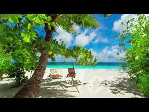 Die Insel Niemandsland Coverversion