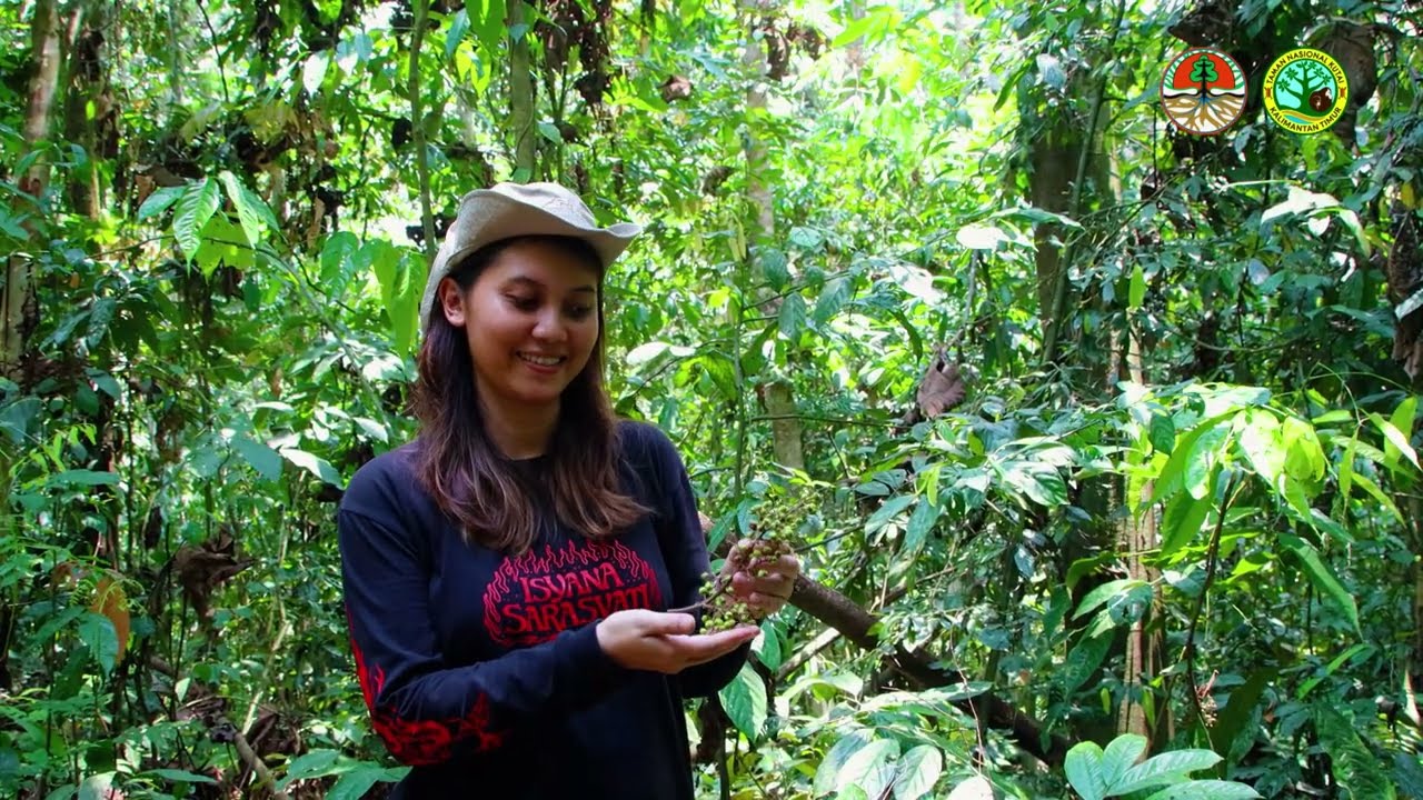 Mengulik Prevab, Rumah Bagi Orangutan Morio (Episode Penjelajahan Pagi)