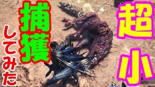【MHW】極小個体捕獲してみると…？ ロックマンコラボクエスト【モンハンワールド実況】