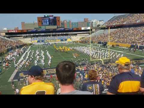WVU Mountaineers running out of the tunnel