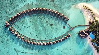 The Architecture of Hospitality: Maldives vs Seychelles