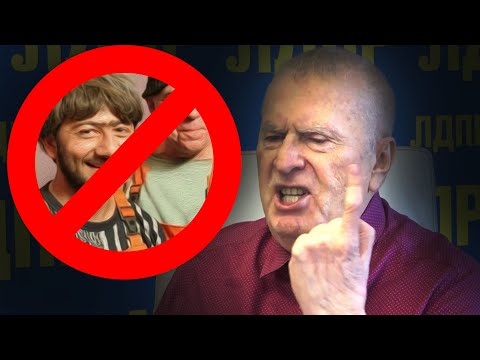 'Нужно прекратить завоз мигрантов': Жириновский разработал план остановки потока гастарбайтеров.