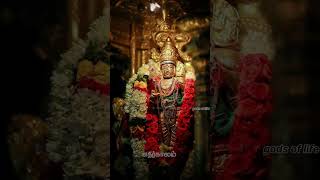 Download lagu Enakkum Idam Undu | Murugan Devotional song - Tamil | #murugansongs @MrGodsOfLife mp3