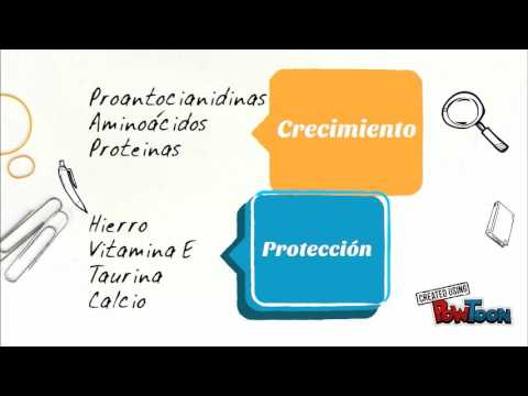 temas-foliculo piloso - by valeria