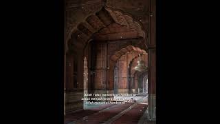 Download lagu story wa 30 detik sholawat mp3 Download lagu story wa 30 detik sholawat mp3