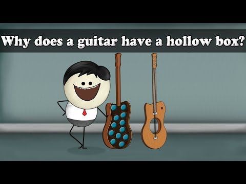 強制振動 - なぜギターには空洞の箱があるのか？| 弦楽器｜#aumsum (Forced Vibrations - Why does a guitar have a hollow box? | #aumsum)