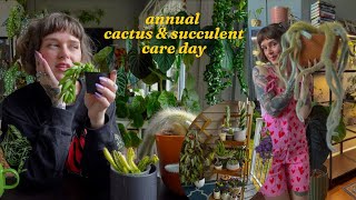 repotting and propagating my cactus + succulent collection // yearly update video 🌵