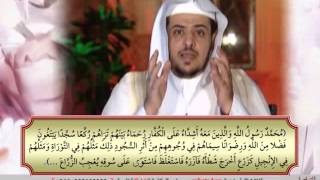 الحلقة الثانية والثمانون من برنامج أمثال قرآنية . image