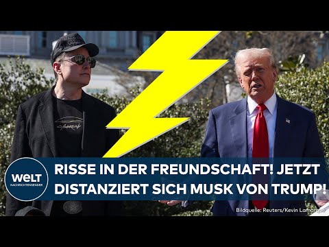 USA: Von Best Buddys zu Rivalen? Elon Musk gegen Donald Trumps aggressive Handelspolitik