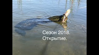 Рыба с приманкой на голове