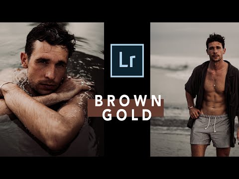 FREE BROWN-GOLD Lightroom PRESET | Lightroom Mobile | Lightroom Tutorial Presets DNG / HOW TO