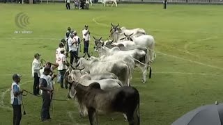 Miniatura do vídeo