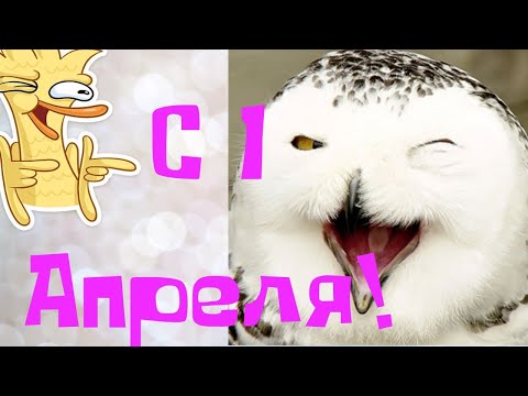 Веселое поздравление с 1 АПРЕЛЯ!С днем смеха!\\A fun day of laughter!From 1 April!