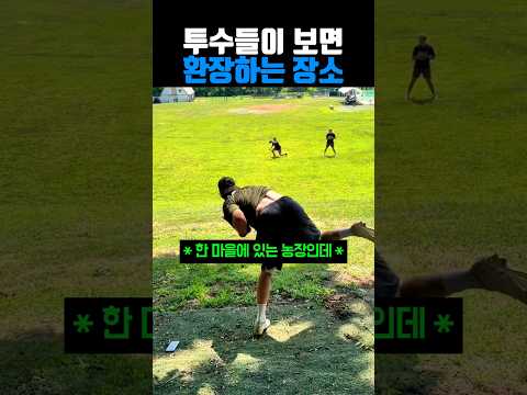 투수들이 보면 환장하는 장소 #야구