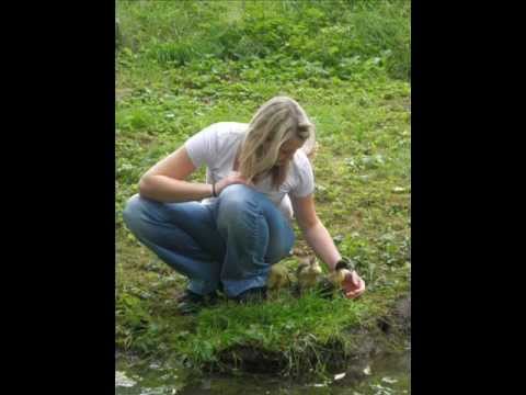 a tak dál se ptej.wmv