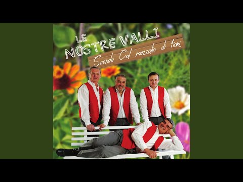 Trova - La tua immagine