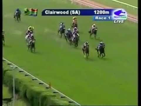 2012-08-28 Clairwood - race 1