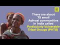 Who Are Adivasis