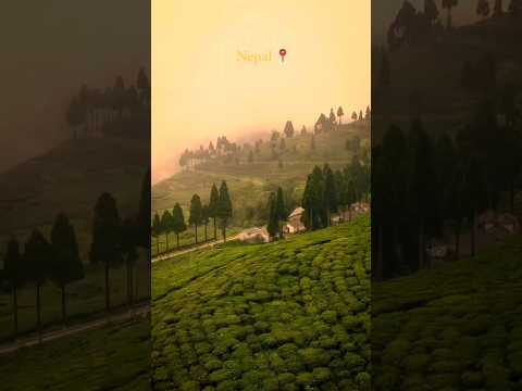 Nepal 🇳🇵