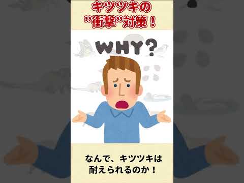 メラネルペス・カロリヌス