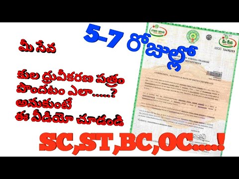 download lagu mp3 mp4 Caste Certificate Procedure, download lagu Caste Certificate Procedure gratis, unduh video klip Caste Certificate Procedure