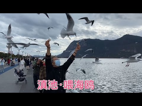 昆明滇池