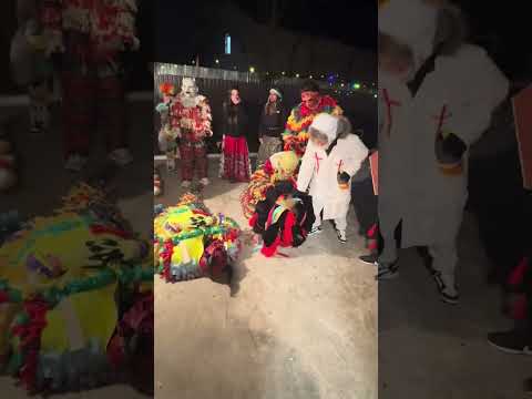 Ursul de la Rediu 2026