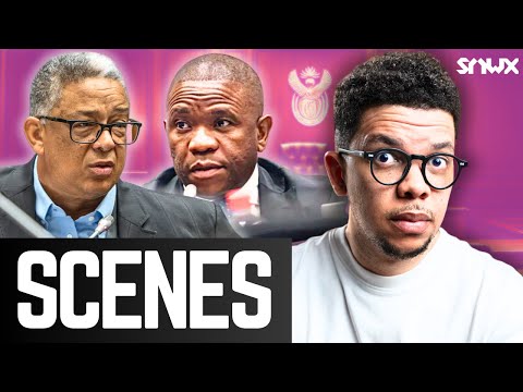 MPs swing at Robert McBride in Parliament 