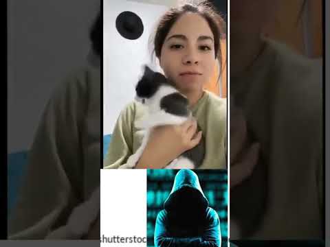 funny moments  enimal ||cat muments||funny video