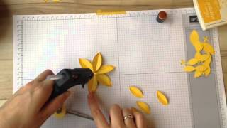 Daffodils - Friends and Flowers