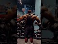 Dumbbell Lateral raises