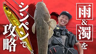 【ヒラメ・マゴチ】雨＆濁り潮の仙南サーフ。スロー＆繊細に、シンペンで攻略！ / USHIO岸 / 伊賀拓実