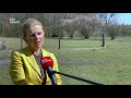 Ernstig mishandelde hangbuikzwijntjes in Wijk bij Duurstede knappen een beetje op [RTV Utrecht]