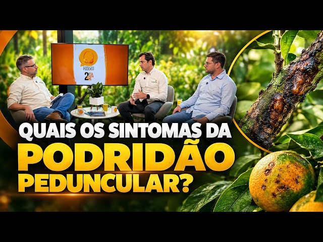 Quais os sintomas da podridão peduncular?