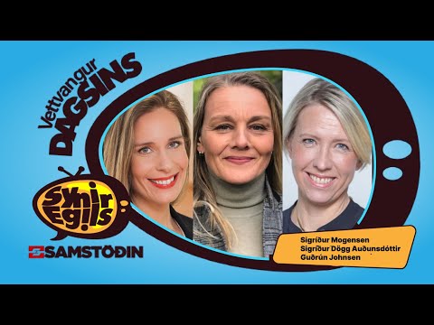 Getur ríkið bjargað fréttum Stöðvar 2 og ætti það að gera það?