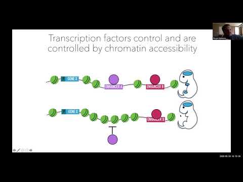 RNA Collaborative Seminar Series - May 20, 2020 RNA Institute Hosting