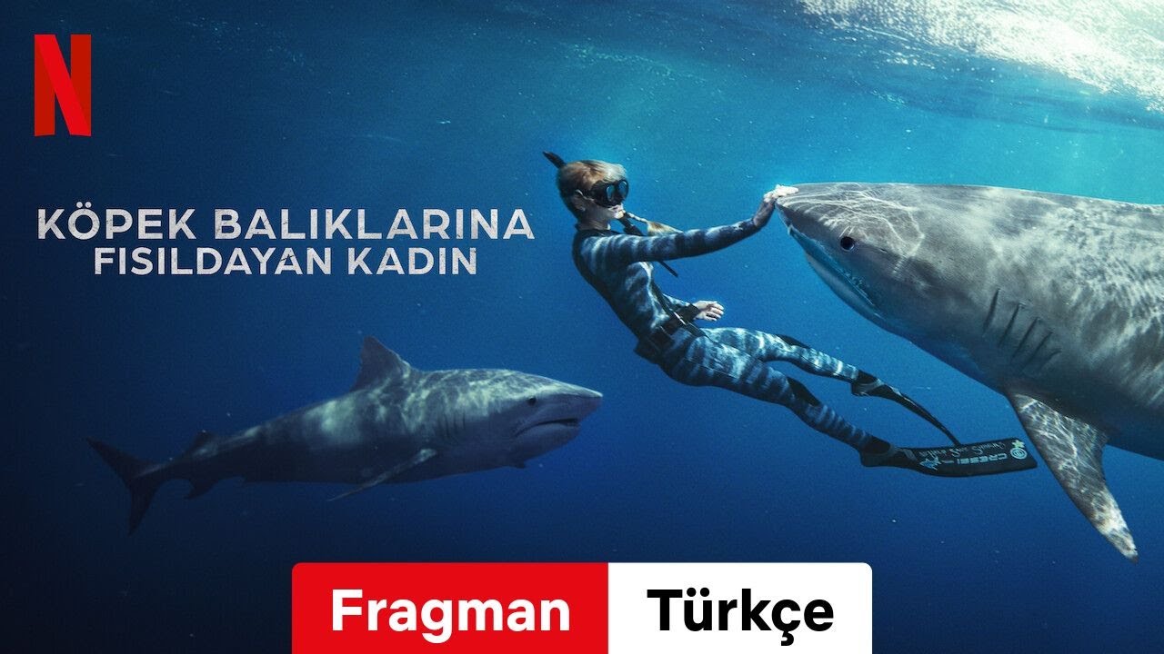 Shark Whisperer - Videolar