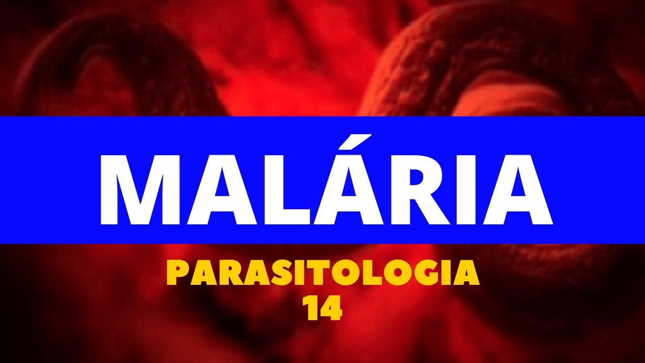 MALÁRIA - PARASITOLOGIA 14