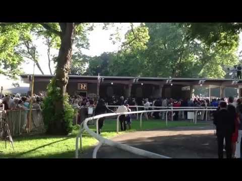 The Belmont Stakes 2014