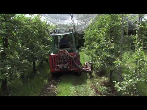 Sonnenberghof Werbung
