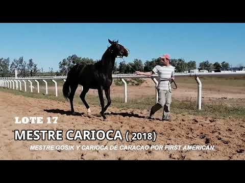 Lote MESTRE CARIOCA