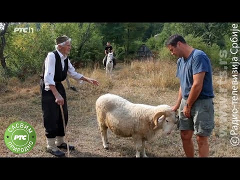 Sasvim prirodno: Jagoštica, selo na ivici - 1. deo (Jovan Memedović)