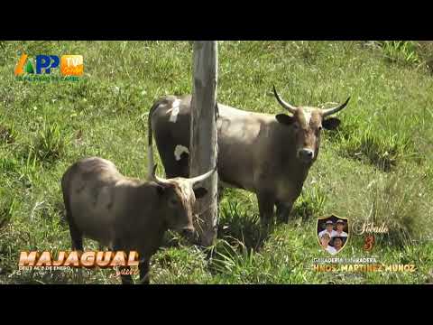 La Pradera para Majagual 2026.