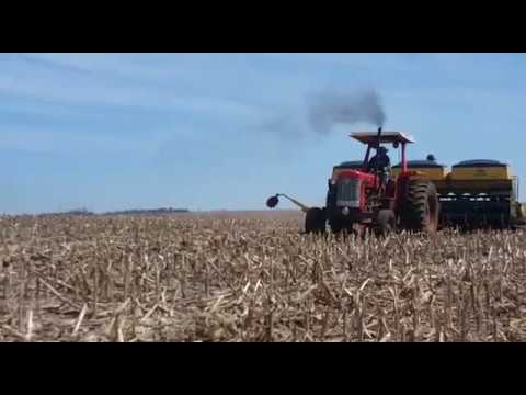 MF 95x sofrendo para puxar plantadeira de 11 linhas!!!