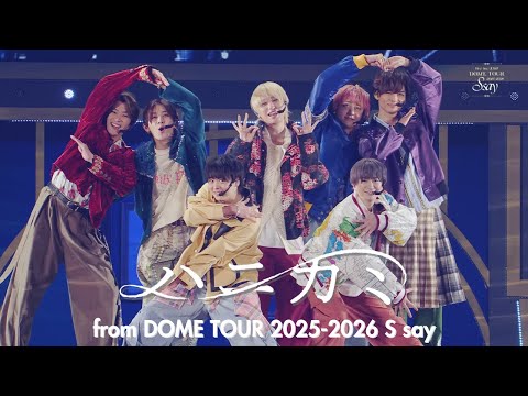 Hey! Say! JUMP - ハニカミ [S say Official Live Video]