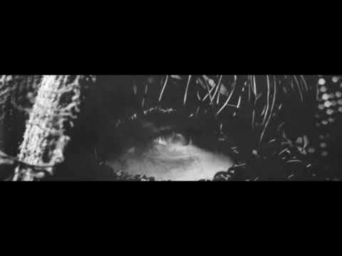 DAWN RAY'D - RAISE THE FLAILS (OFFICIAL VIDEO)