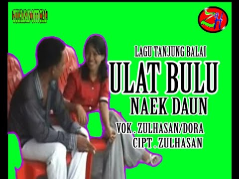 ULAT BULU NAEK DAUN - ULAT BULU - ZULHASAN [ OFFICIAL MUSIK VIDIEO ]